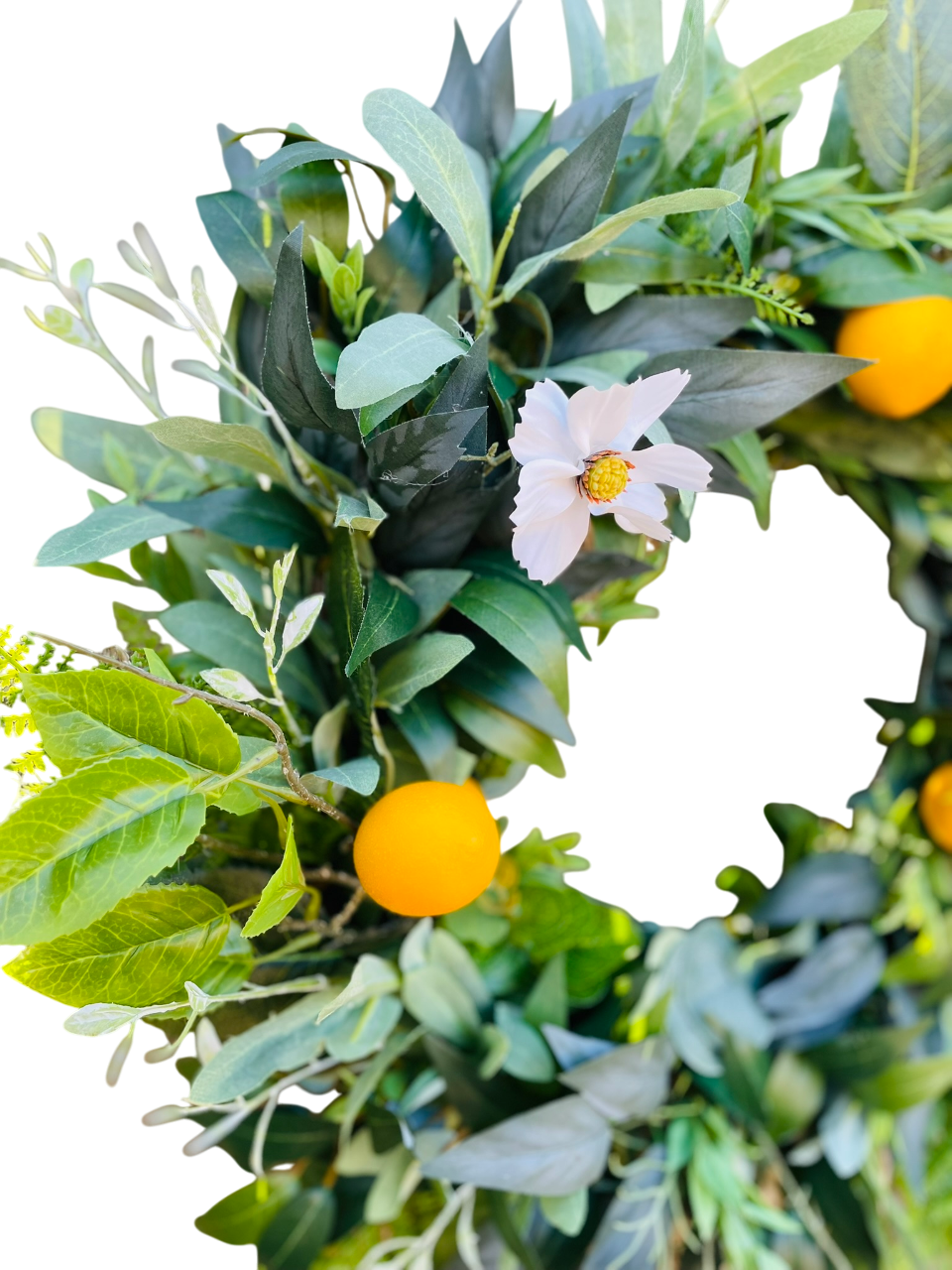 Citrus Grove - 24"