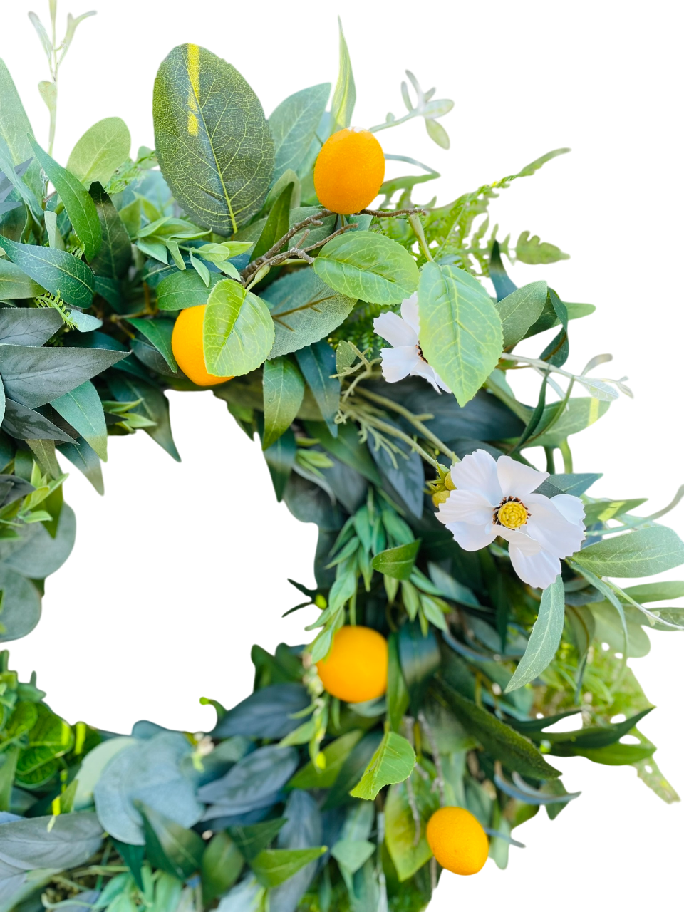 Citrus Grove - 24"