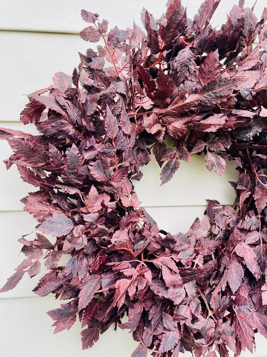 Plum Cimicifuga Ramosa - 24"/26"/30"