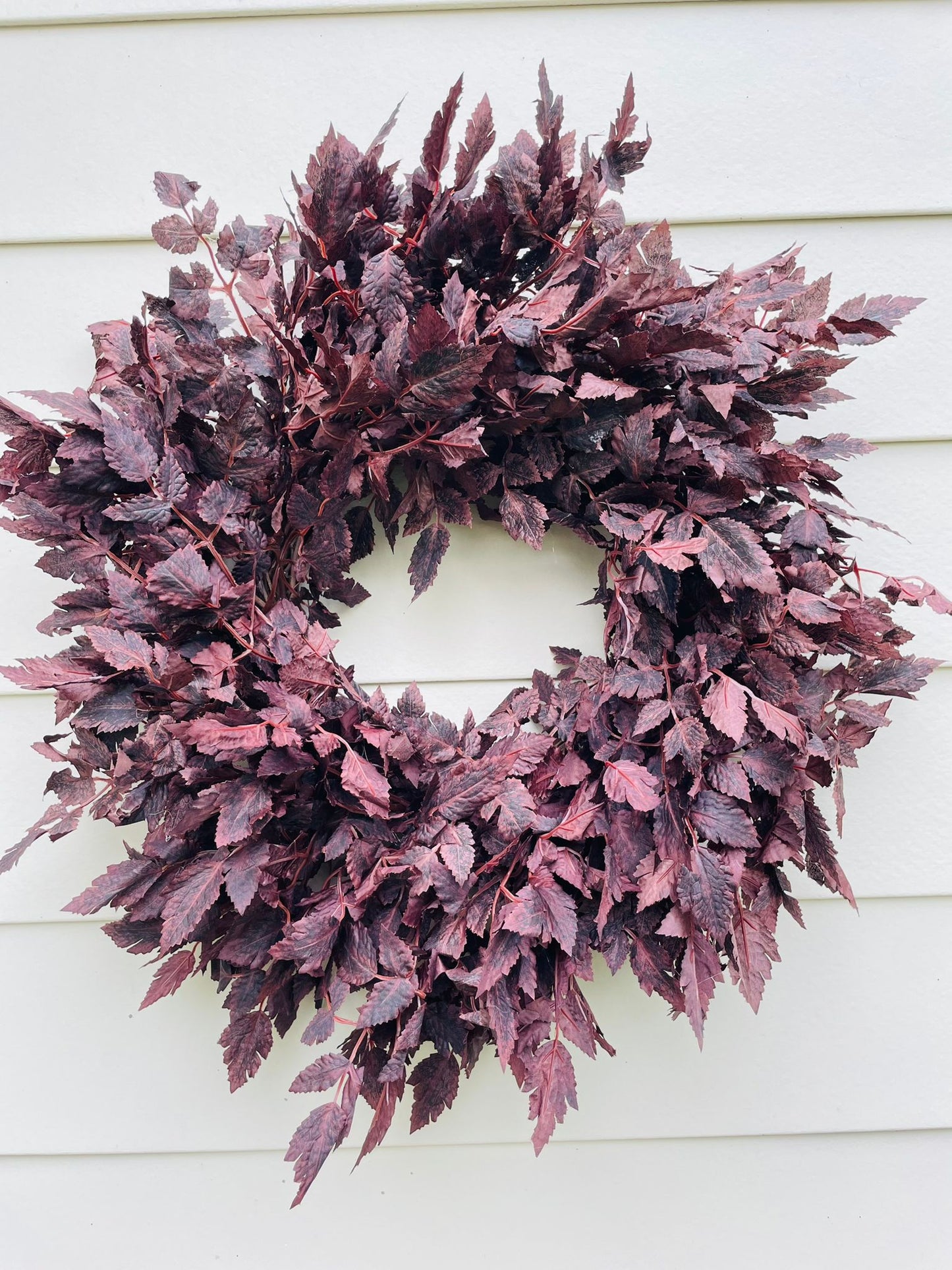 Plum Cimicifuga Ramosa - 24"/26"/30"