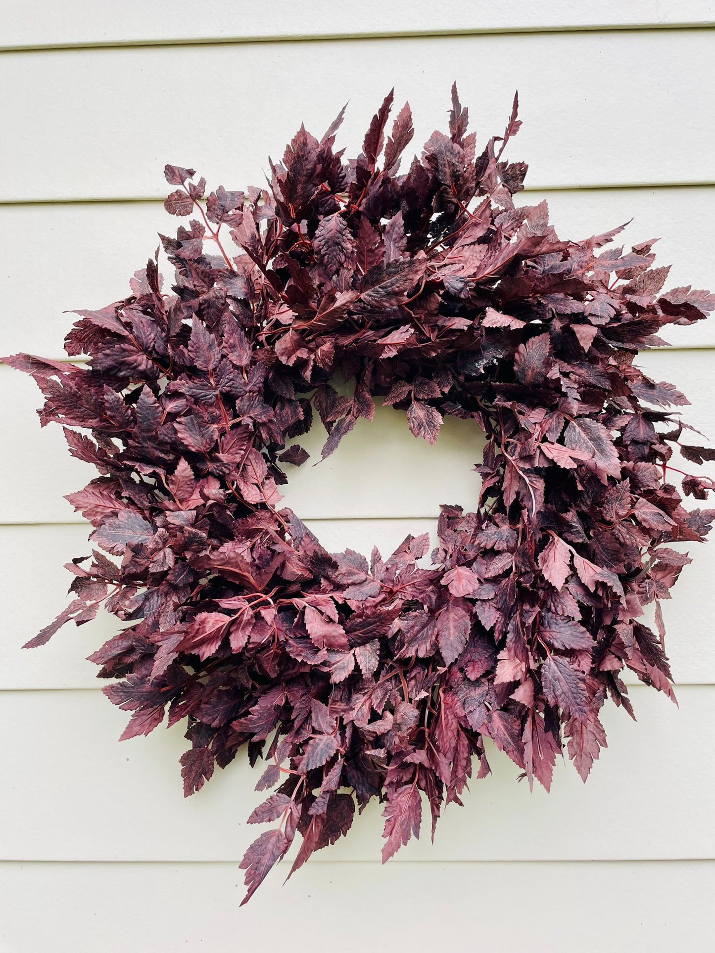 Plum Cimicifuga Ramosa - 24"/26"/30"