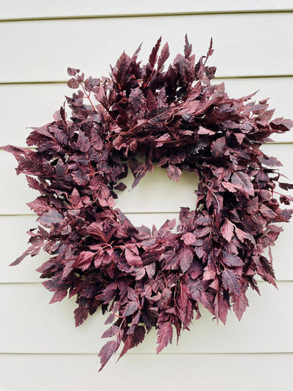Plum Cimicifuga Ramosa - 24"/26"/30"