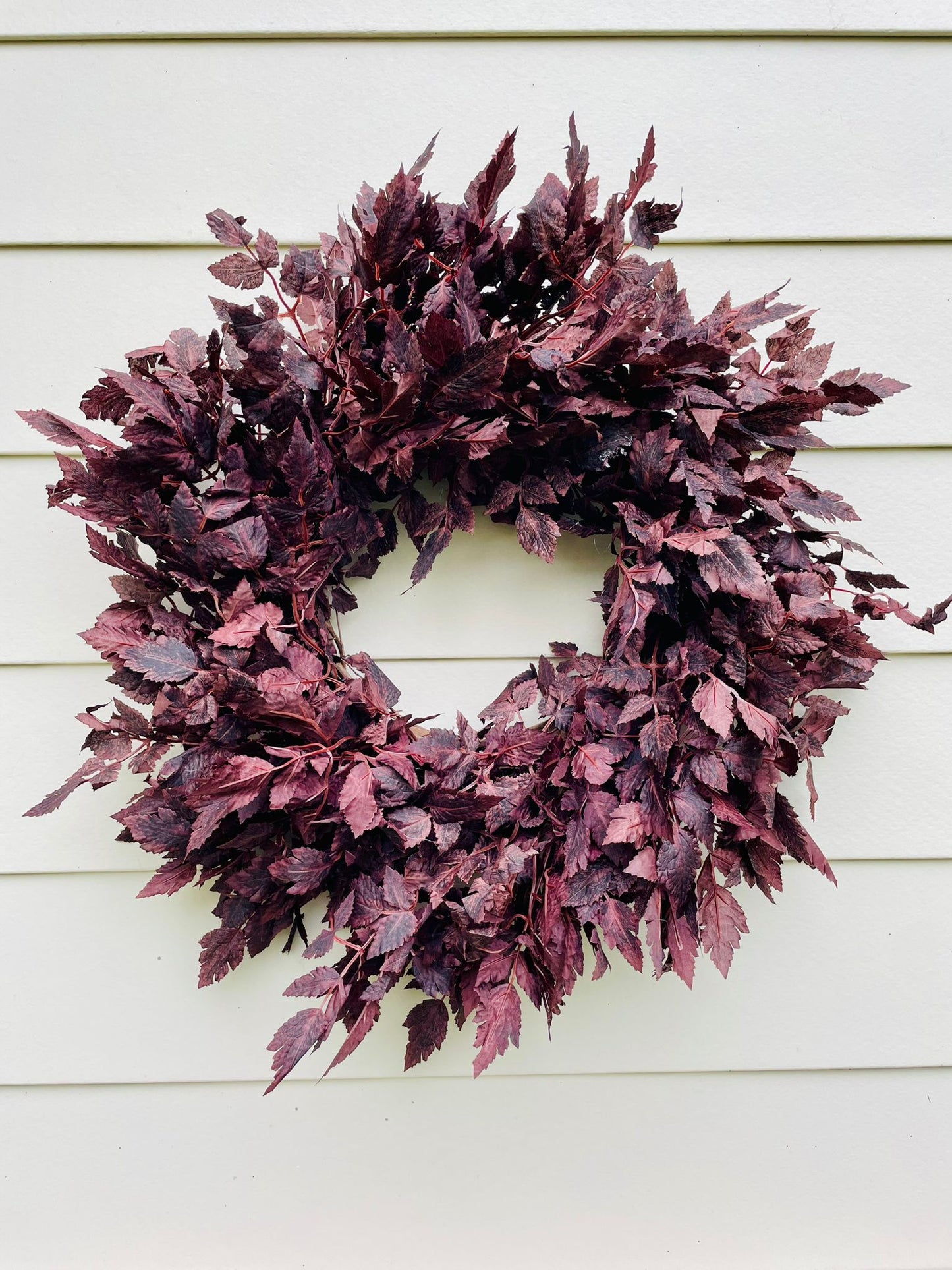 Plum Cimicifuga Ramosa - 24"/26"/30"