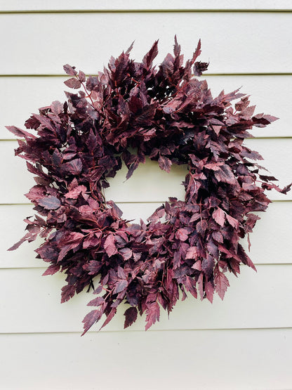 Plum Cimicifuga Ramosa - 24"/26"/30"