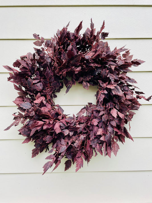 Plum Cimicifuga Ramosa - 24"/26"/30"