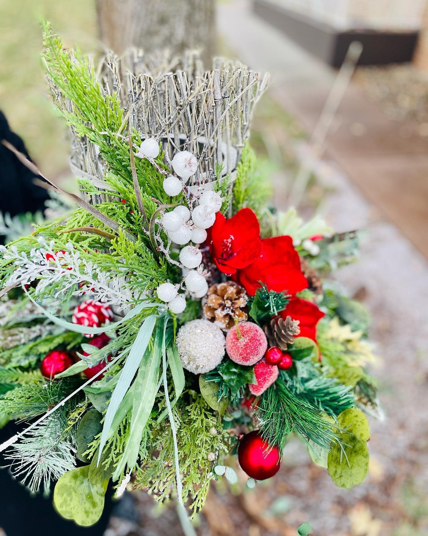 Rustic Berry & Pine Centerpiece - H15"|W23"