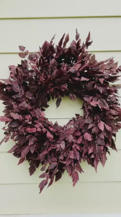 Plum Cimicifuga Ramosa - 24"/26"/30"